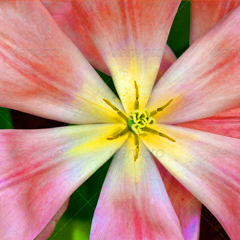 手机号轰炸测试