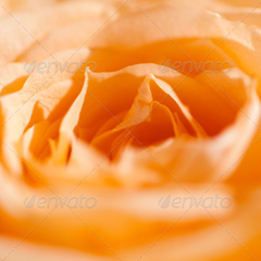 手机号轰炸业务网