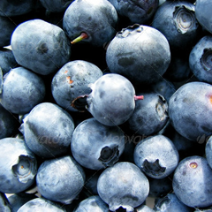 手机号轰炸业务网